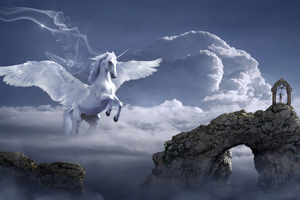 pegasus in flight